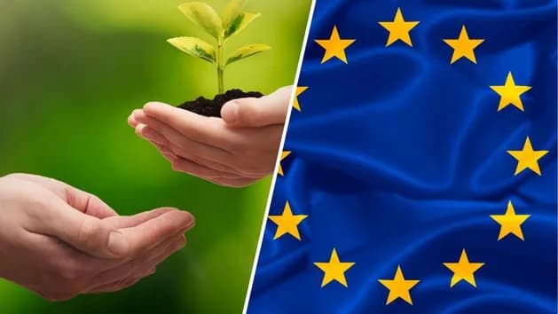 Zielony ład co to znaczy i jak wpłynie na przyszłość Europy