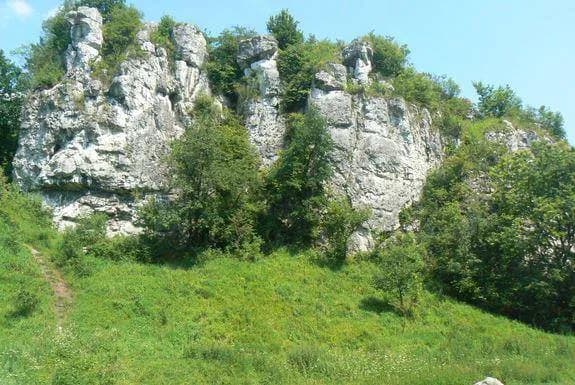 Rezerwat przyrody Dolina Kluczwody - odkryj jego niezwykłe skarby