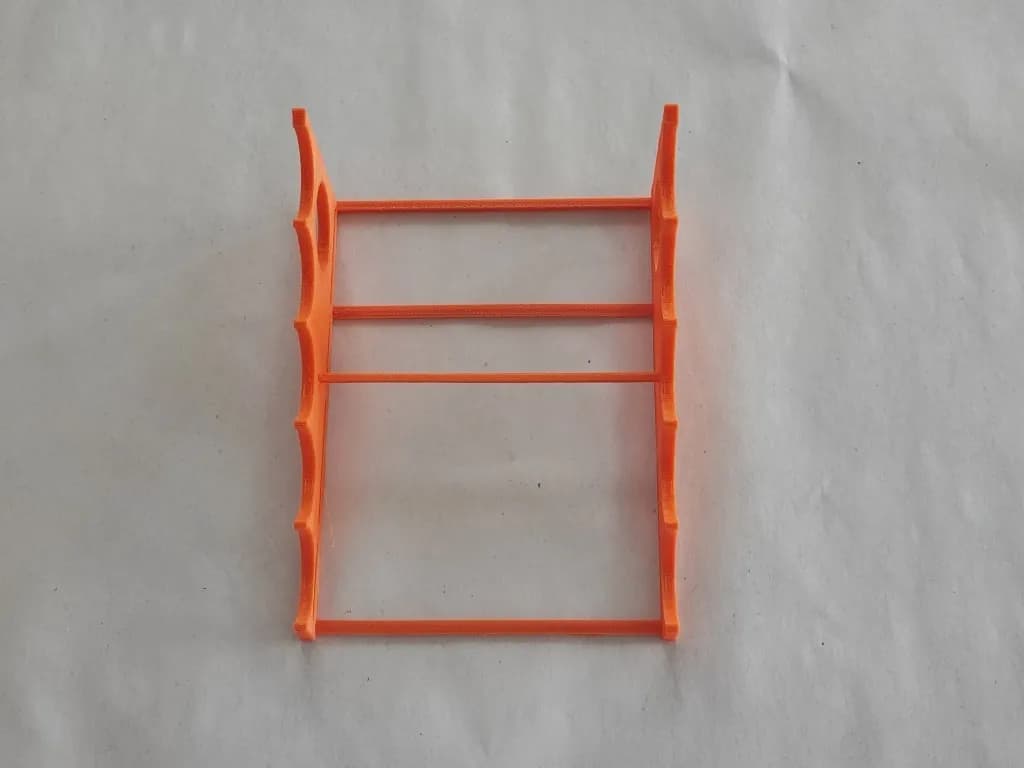 Ile kosztuje hodowla mrówek? Sprawdź, co warto wiedzieć o wydatkach