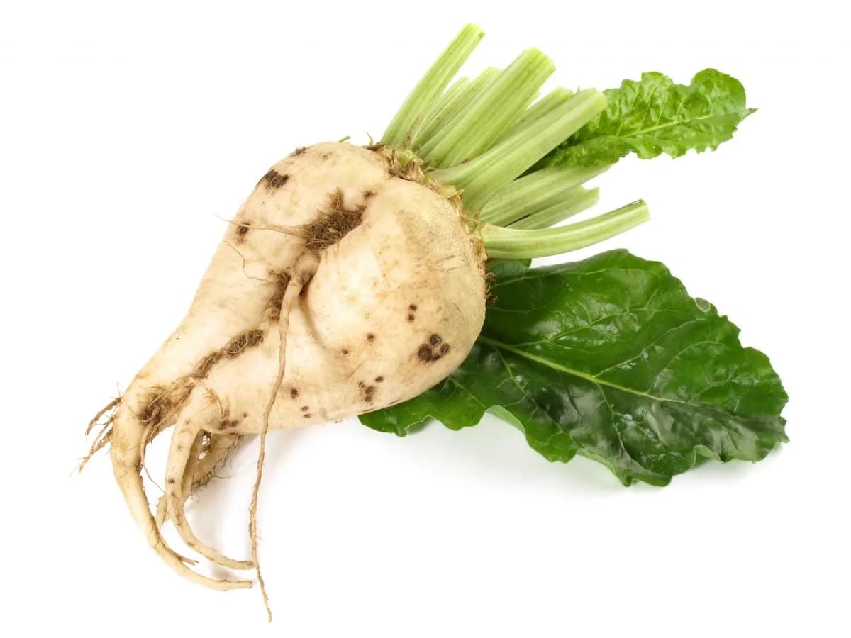 Gdzie w Polsce uprawia się buraki cukrowe? Odkryj kluczowe regiony