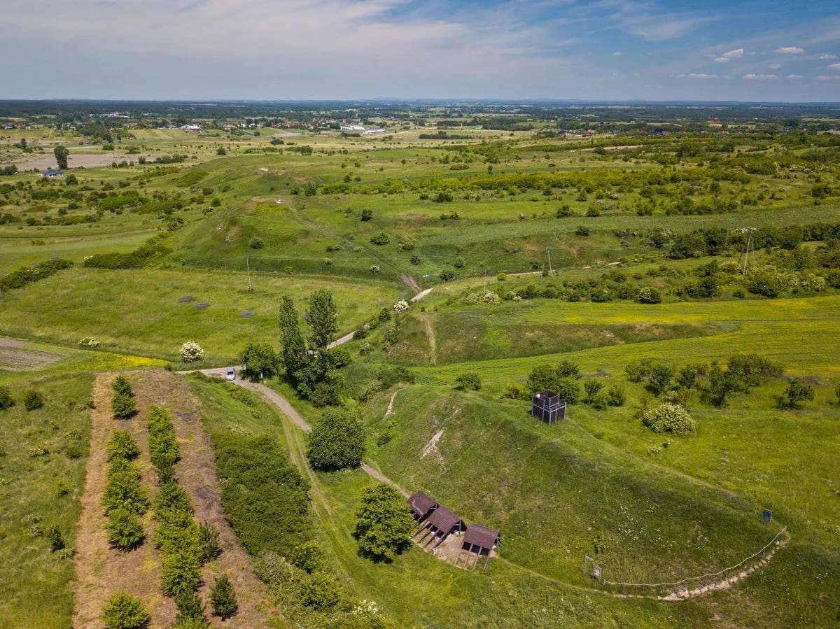 Rezerwat przyrody Zimna Woda – odkryj jego unikalne bogactwo natury