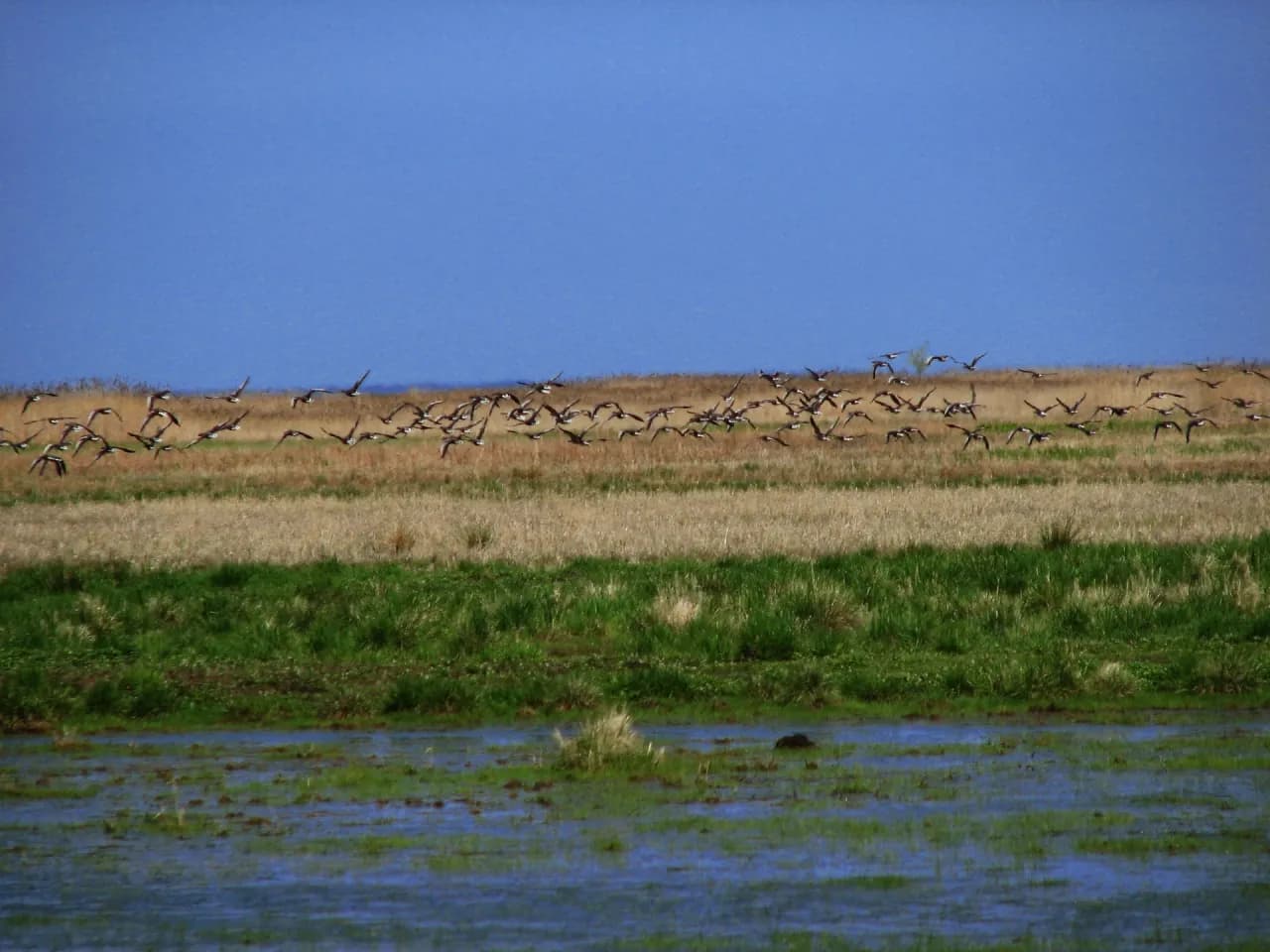 Rezerwat Przyrody Beka - odkryj piękno natury i bioróżnorodność
