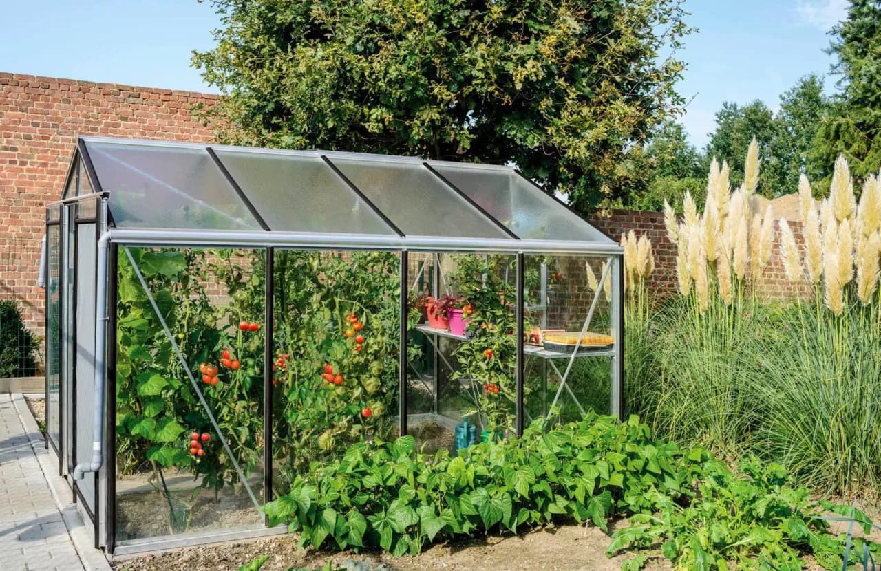 Co uprawiać w szklarni, aby uniknąć nieudanych plonów?