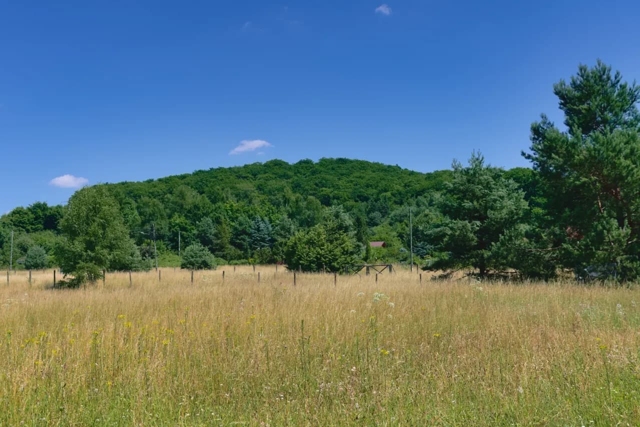 Rezerwat przyrody Góra Chełm - tajemnice natury i unikalne atrakcje
