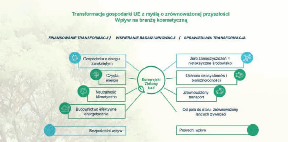 Co to zielony ład i jak wpłynie na przyszłość Europy?