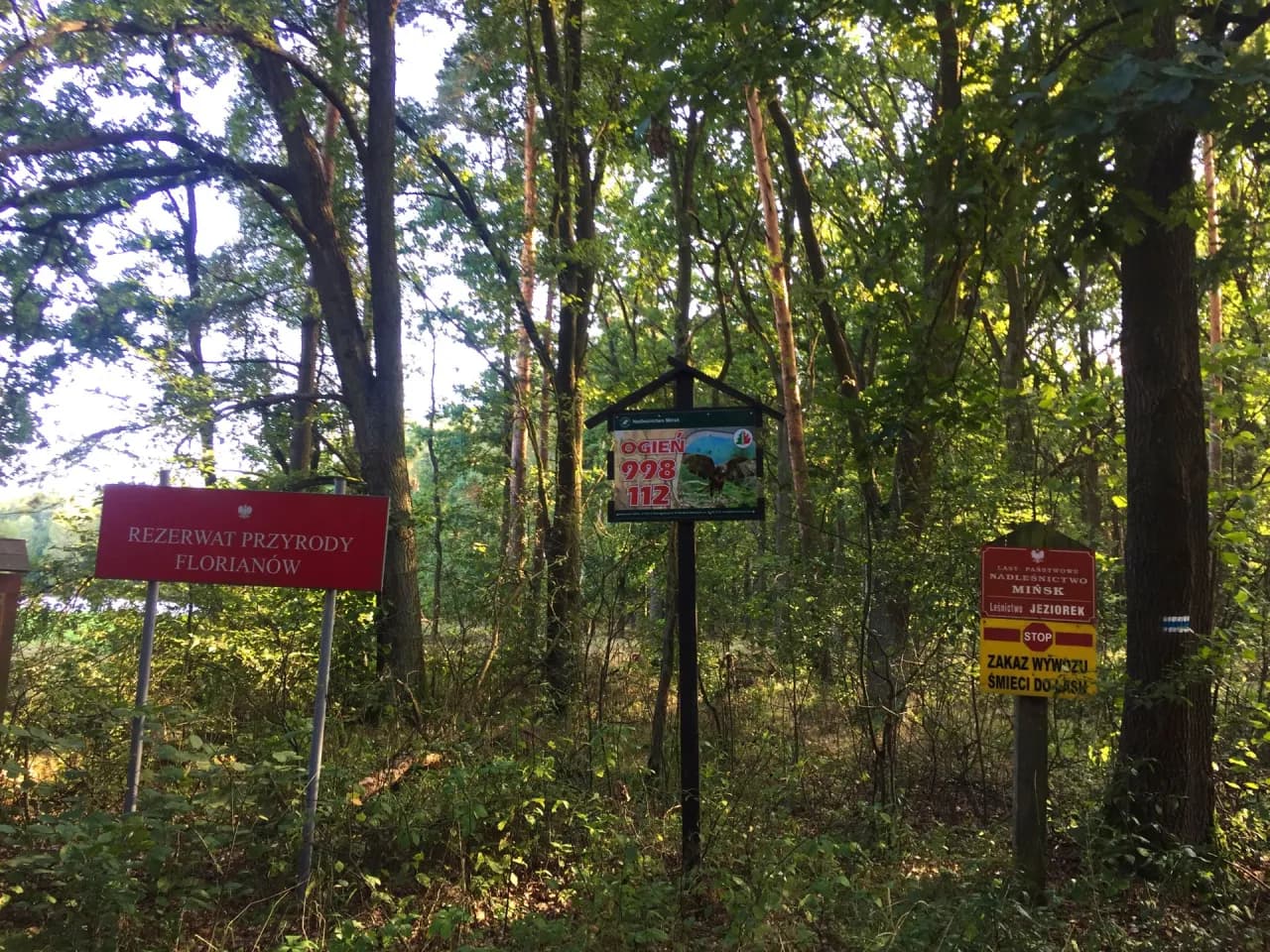 Rezerwat przyrody Florianów: tajemnice, które warto poznać