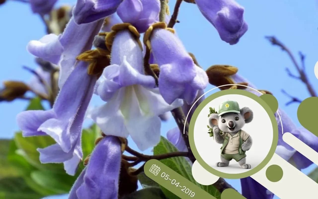 Jak uprawiać cesarskie drzewko szczęścia i uniknąć najczęstszych błędów