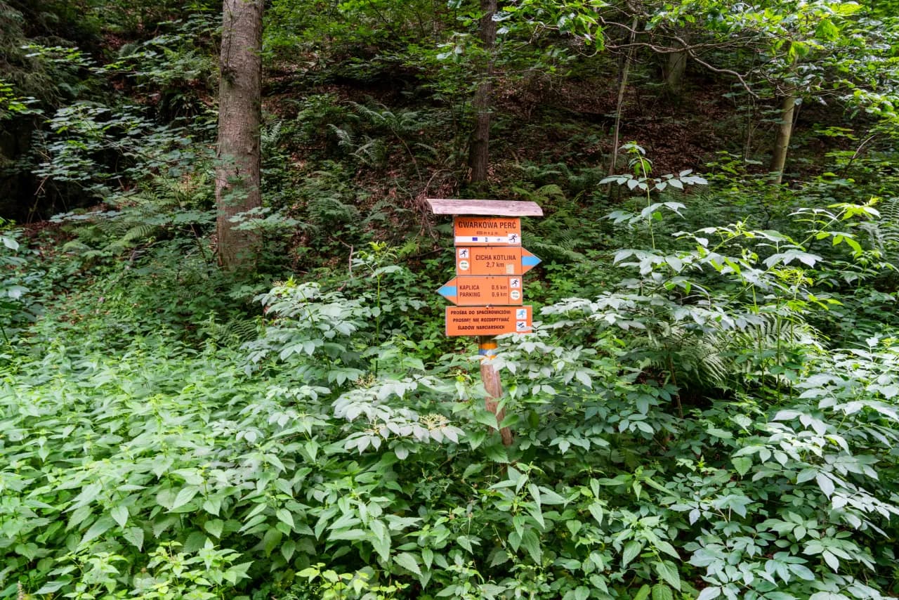 Rezerwat przyrody Cicha Dolina: unikalna oaza przyrody w Polsce