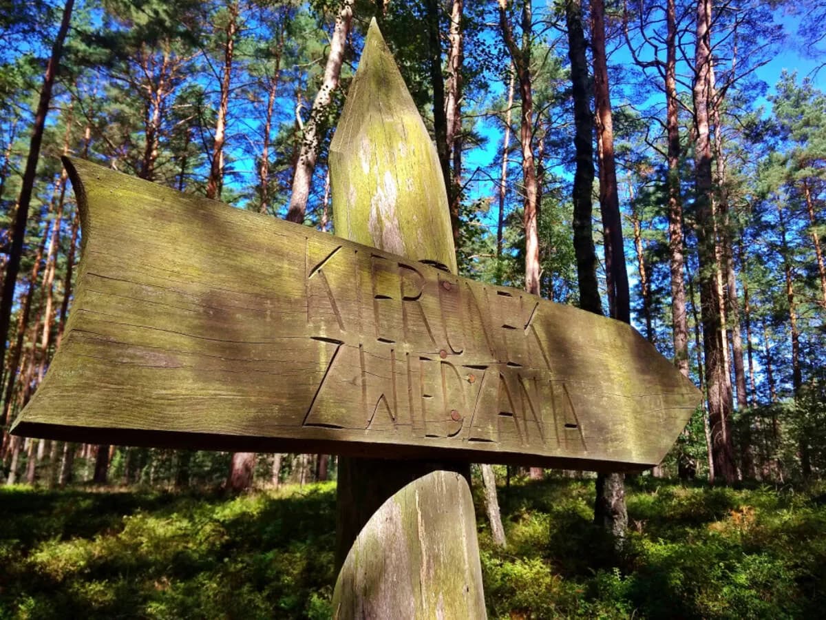 Rezerwaty przyrody w Polsce opisy: Odkryj ich unikalne piękno i znaczenie