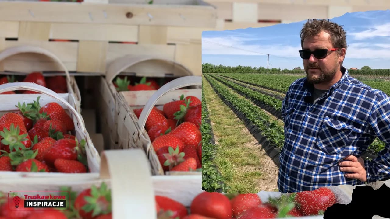 Sezon na truskawki kiedy się kończy - nie przegap ostatnich owoców