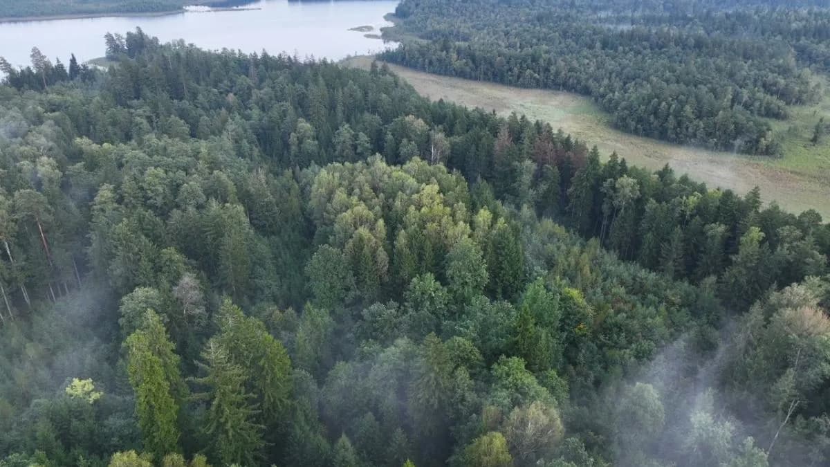 Najpopularniejsze rezerwaty przyrody w Polsce, które musisz odwiedzić