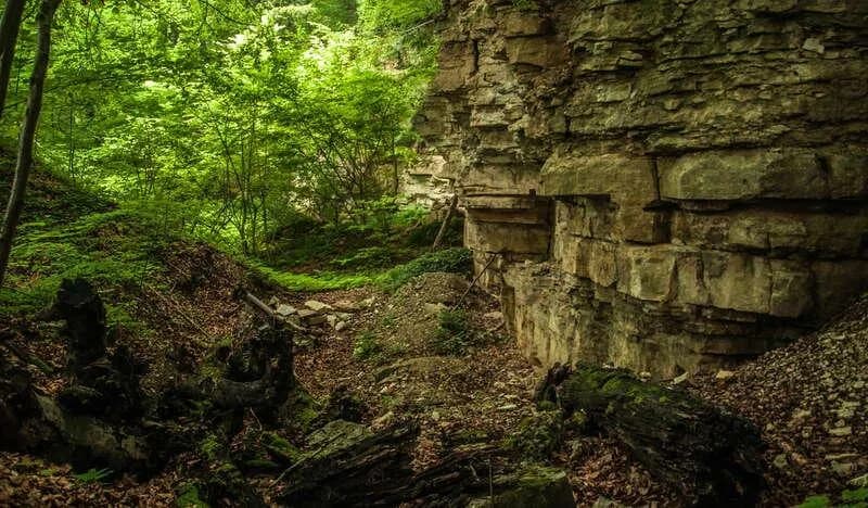 Rezerwat przyrody Bukowica: Odkryj jego piękno i unikalną faunę