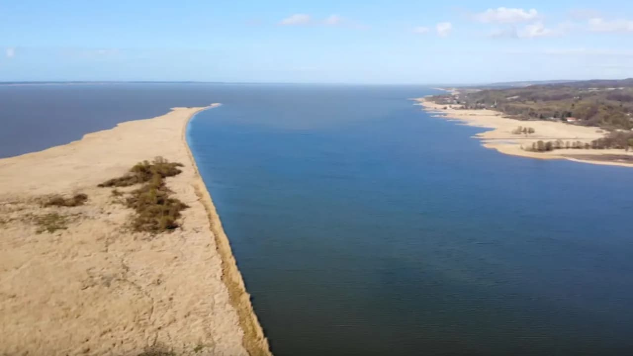 Rezerwat przyrody Zatoka Elbląska - fascynujący świat ptaków i przyrody