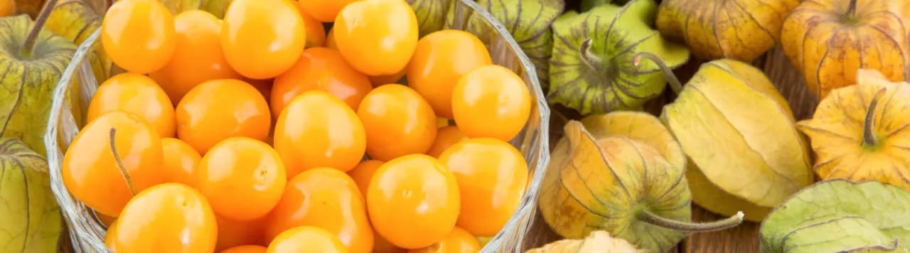 Jak uprawiać physalis: proste techniki, by uniknąć problemów w ogrodzie