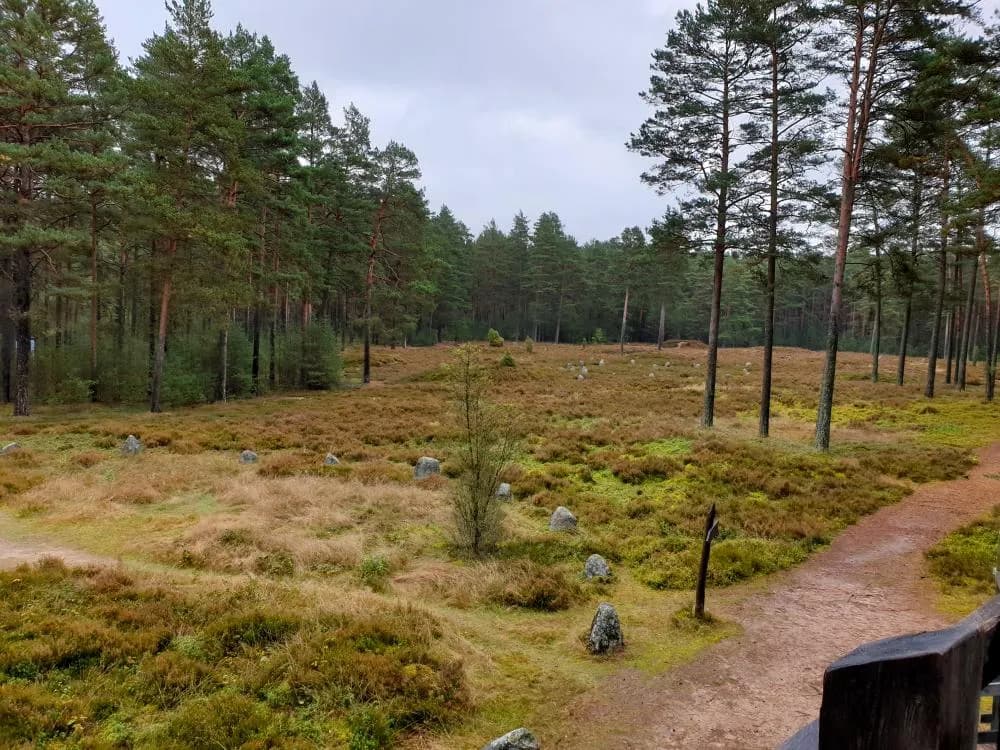 Rezerwat Przyrody Kręgi Kamienne - fascynująca historia i przyroda