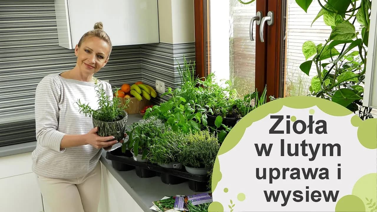 Jak uprawiać zioła w domu - proste sposoby na świeże przyprawy